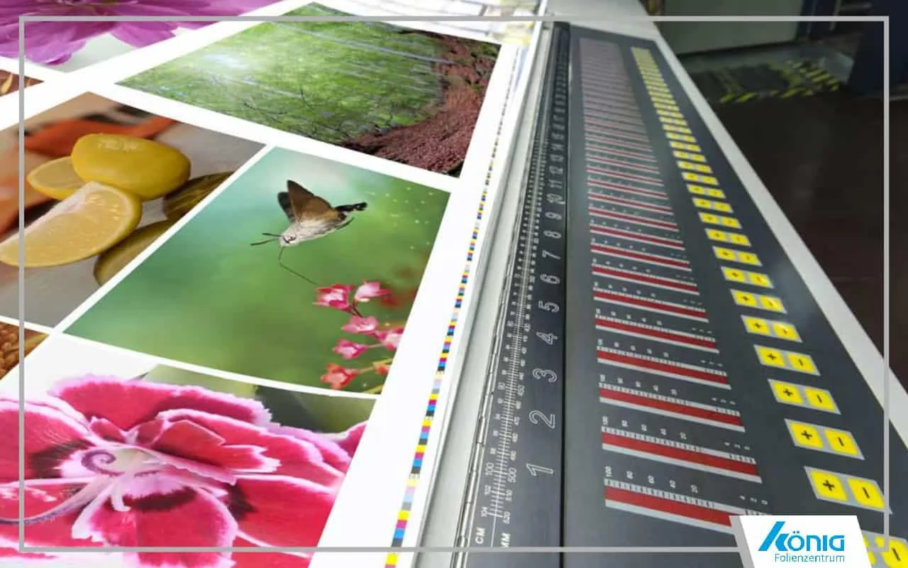 Auf diesem Bild sind verschiedene auf Folie bedruckte Motive zu sehen. Darunter ein Vogel, der Nektar aus einer Blume trinkt, ein friedlicher Wald sowie frisches Obst.